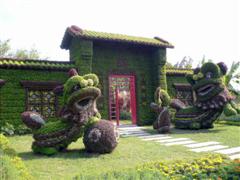 Topiary Photo